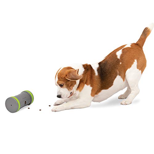 PetSafe Kibble Chase Interaktives Hundespielzeug – Slow Feeder – Elektronischer Leckerli-Spender – Perfekt für kleine, mittelgroße und große Hunde