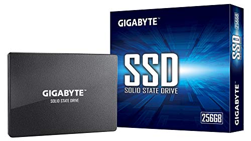 Gigabyte »SSD« SSD-Festplatte 2,5" (256 GB, 520 MB/S Lesegeschwindigkeit, 500 MB/S Schreibgeschwindigkeit, 256 GB)