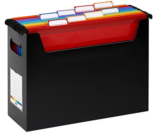 Viquel Easycase Box gefüllt mit 8 Hängemappen aus Polypropylen Farben Lebhafter