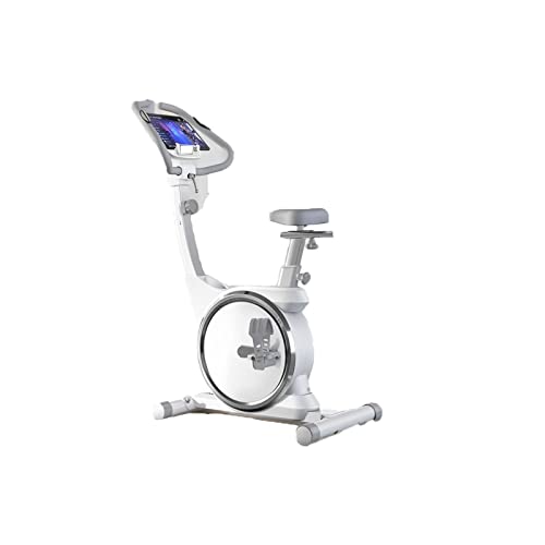 AQQWWER Heimtrainer Fitness Bike Spinning Home Exercise Weight Loss Small Equipment Indoor Ultra Quiet Upright Scroll Wheel (Color : White)