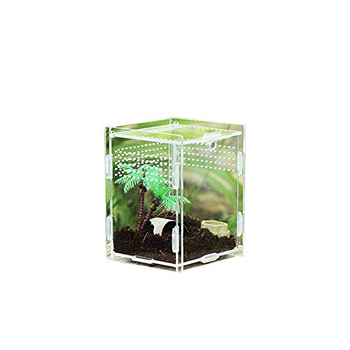 AADEE Transparente zusammengebaute Acryl Futterbox DIY Montage Hängen Reptilien Zuchtbox Acryl Transparent Futterkäfig für Insekten Reptilien Schnecken