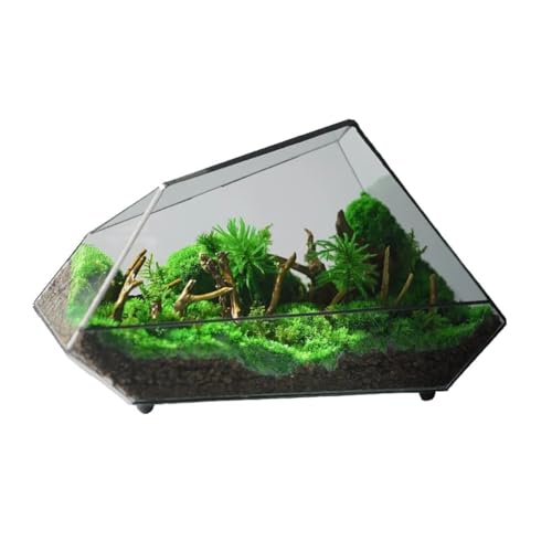 Unregelmäßiges Glas Geometrische Terrarienbox, Handmade Pflanzencontainer, Blumentopf Für Pflanzen, Garten Tischdekoration (Ohne Pflanzen)