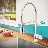 Calmwaters® Premium Spiralfederarmatur, 360° flexible Küchenarmatur mit Brause, Wasserhahn Küche Geschirrbrause