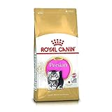 Royal Canin Katzenfutter Feline Kitten Persian 32, 2 kg, 1er Pack (1 x 2 kg)