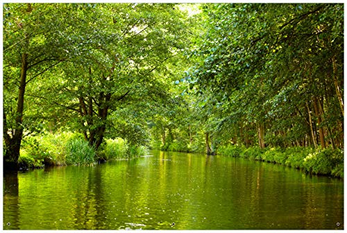 Wallario Outdoor-Poster für Garten oder Balkon Spreewald in Brandenburg grüne Wälder und Spiegelungen im Wasser, Motivbanner Größe: ca. 60 x 90 cm, Outdoor-Bild
