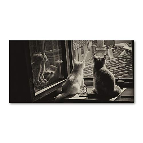 Tulup Glas-Bild Wandbild aus Glas - Wandkunst - Wandbild hinter gehärtetem Sicherheitsglas - Dekorative Wand für Küche & Wohnzimmer 100x50 - Tiere - Katzen am Fenster - Schwarzweiß