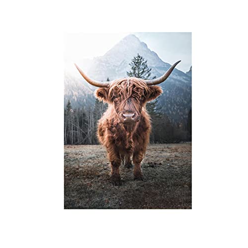 zxiany Nordic Leinwand Gemälde Tier Highland Kuh Vieh Poster und Drucke Wandkunst Bilder Wohnzimmer Wohnkultur 70x100cm/27.5"x39.4" ohne Rahmen - 5