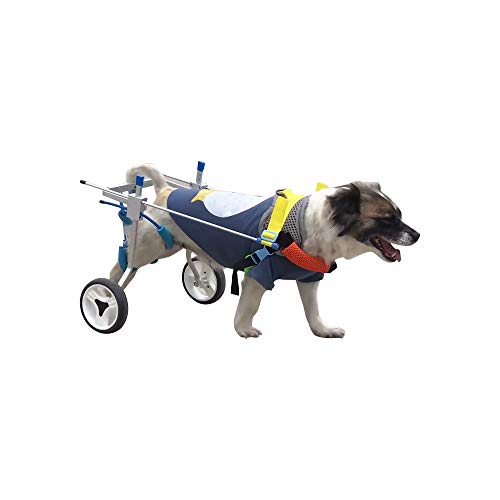 Sobotoo Verstellbarer Rollstuhl für Hunde und Katzen, für Rehabilitationstraining, für Hunde und Welpen, Hinterbeine, Rehabilitationshilfe für Hunde und Roller.