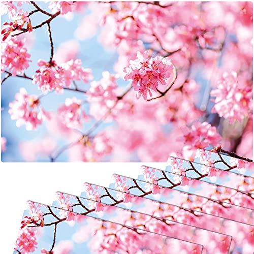 matches21 Frühlingshafte Tischsets Platzsets Motiv abwaschbar Frühling Kirschblüten rosa blau 8er 43,5x28,5 cm