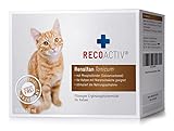 RECOACTIV Renaltan Tonicum für Katzen, 3 x 90 ml, mit Phosphatbinder zur Reduktion der Phosphataufnahme aus der Nahrung und Unterstützung der Nierenfunktion, Ergänzungsfuttermittel