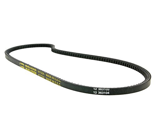 Keilriemen Malossi Special Belt für Piaggio, Vespa Ciao, PX50 (70mm Riemenscheibe)