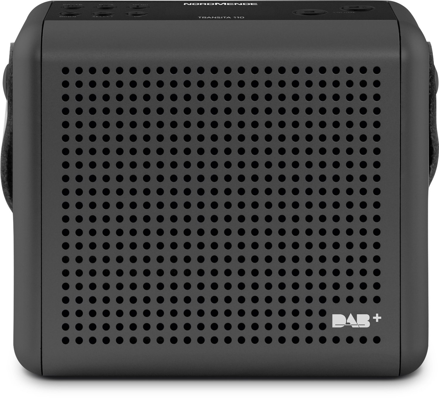 Nordmende Transita 110 – Tragbares DAB+ & UKW Digitalradio – Portable Musikbox mit OLED-Display – Outdoor Radio mit Tragegriff & Uhr
