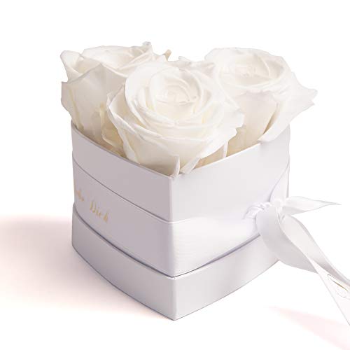 ROSEMARIE SCHULZ Heidelberg Infinity Rosenbox in Herz mit konservierten Rosen in Weiß Geschenk zum Valentinstag (Weiß, Small)