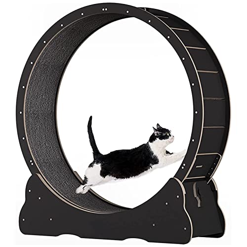 Katzenrad-Trainingsgerät für Indoor-Katzen, Katzenlaufrad, Einfach montiertes Katzenlaufband mit Verriegelungsmechanismus, Ultra-leises Laufen für Katze Gesund,Black-M