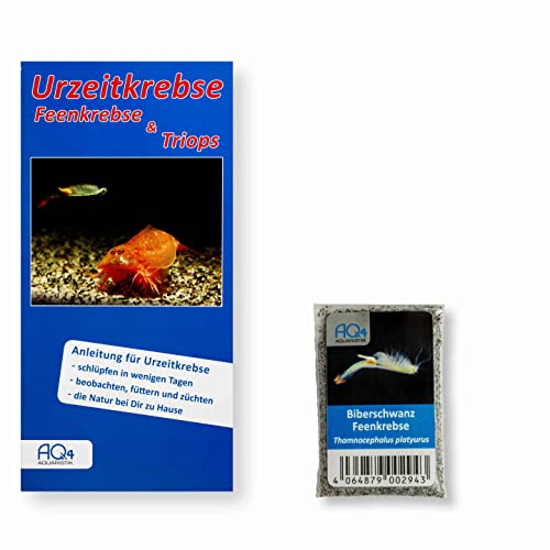 AQ4Aquaristik Biberschwanz Feenkrebse - Thamnocephalus platyurus - Eiern in Substrat - mit Anleitung, 1.000 Eier