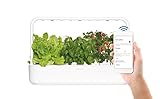 Click and Grow 9 PRO Indoor Herb Garden Kit with Grow Light | Easier than Hydroponics Growing System | Smart Garden for Home Kitchen Windowsill | Vegetable & Herb Garden Starter Kit with 9 plant pods