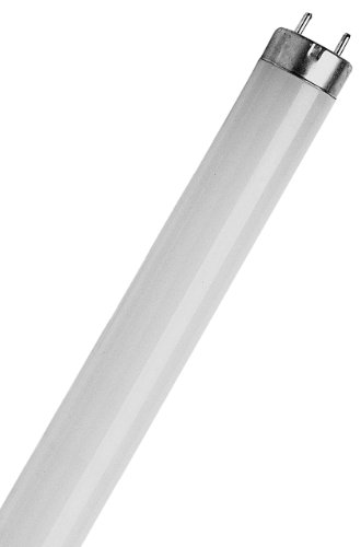 15 Watt T8-Triphosphor-Leuchtstoffröhre Sylvania, 45,7 cm, Tageslicht (6.500 K) Lampe von GE