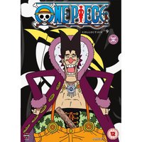 One Piece (Uncut) Collection 9 (Episodes 206-229) [DVD] [UK Import]