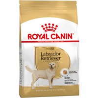Royal Canin | Labrador Retriever Adult | 12 kg
