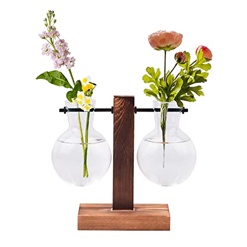 MAGIIN Deko Holz Halter mit Hydroponik Hängevase Glasvase Blumenvase Tischvase Dekovase Holz Halter (C)