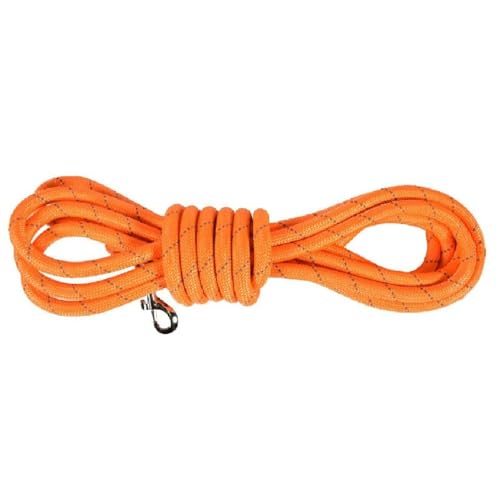 Bobby Walk 10 M – Hundeleine 3 Meter/Stärke 1,2 cm, schlauchförmige Hundeleine, starkes Nylon, Orange, 10 Meter