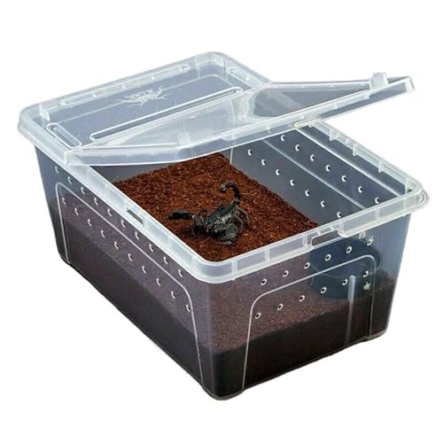 Schildkrötenpanzer Reptilienlebensbox Terrarium Transparente Reptilien Insektenbehälter Transport Amphibien züchten Lebensmittelernährung für drinnen und draußen ( Color : Large )