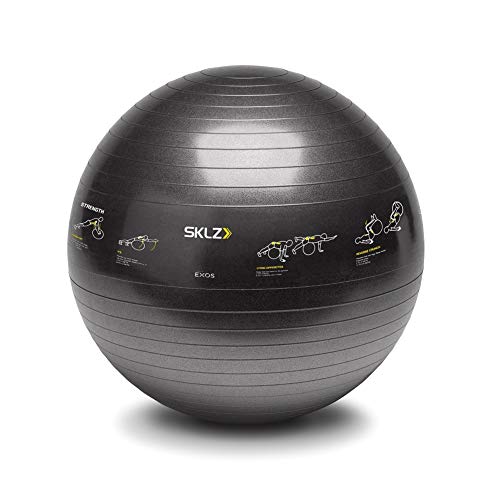 SKLZ Trainerball Sport Performance Gymnastikball, schwarz, One Size