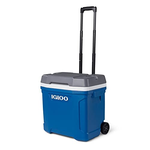 Igloo Latitude 30 Roller Kühlbox mit Rollen, 28 Liter, Blau