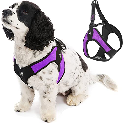Gooby - Escape Free Easy Fit Harness, Small Dog Step-In Harness for Dogs That Like to Escape Their Harness, Purple, Large