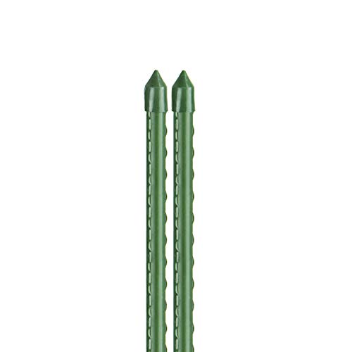 bellissa 50 Stück Hochwertige Pflanz-Stangen - Rank-Stab für Pflanzen – Rankhilfe Kletterhilfe aus Kunststoff grün - 120 cm Ø 11 mm