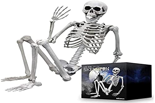 mikamax Lebensgroßes Skelett 1,70 m – realistisches Design – Halloween-Dekorationsideen – Friedhof Spukknochen – Maße 170 x 45 cm