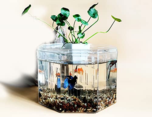 Siqi Betta Aquarium Acrylmaterial Mini Desktop Aquarium Goldfisch Mini Aquarium Kranker Fisch Isolationsraum, Mit Filter Wasserpumpe (4 Gitterplatz)