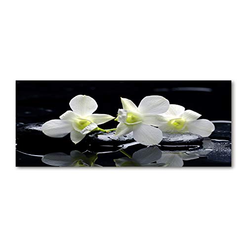 Tulup Glas-Bild Wandbild aus Glas - Wandkunst - Wandbild hinter gehärtetem Sicherheitsglas - Dekorative Wand für Küche & Wohnzimmer 125x50 - Blumen & Pflanzen - Orchidee - Weiß