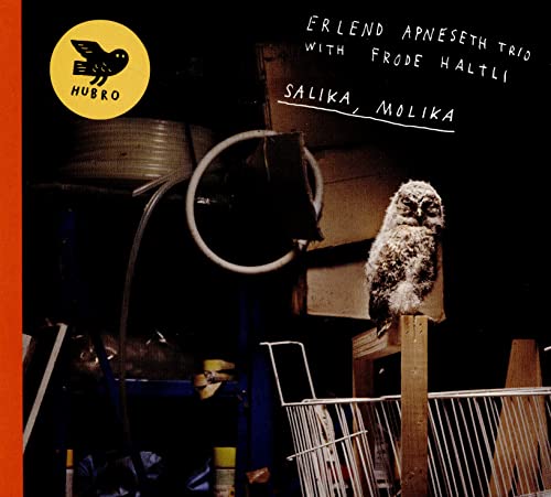 Erlend Apneseth Trio - Salika Molika