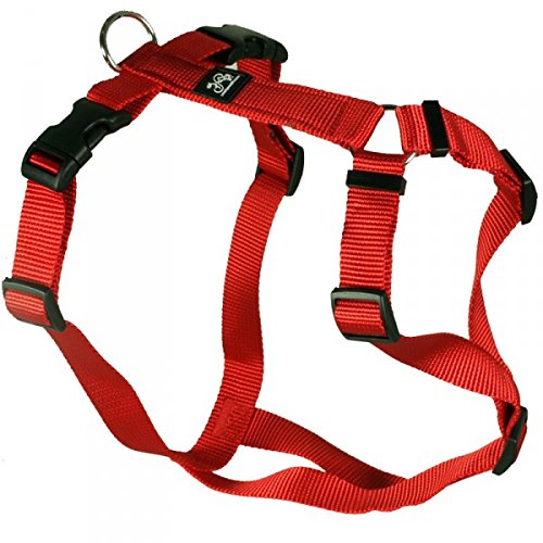 Hundegeschirr - Nylonband, Unifarben Rot, Bauchumfang 35-50 cm, 15 mm Bandbreite