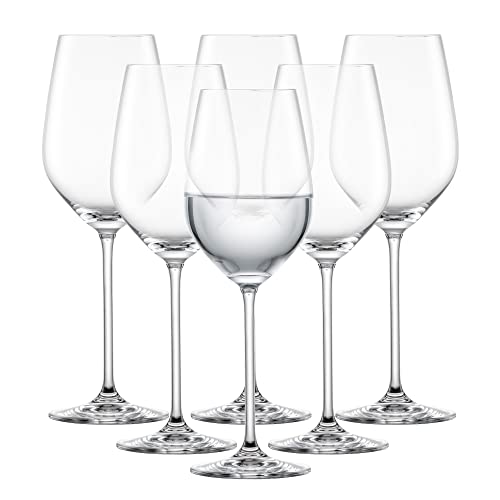 Schott Zwiesel Fortissimo 6-teiliges Set Wasserglas, Glas, transparent, 30.2 x 20.5 x 27.1 cm, 6-Einheiten