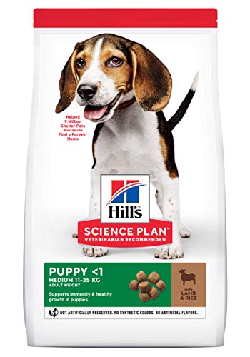 Hills Canine Puppy Healthy Development Lamm & Reis 12kg, 1er Pack (1 x 12 kg Packung)