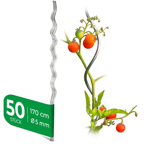 Novatool 50 Tomatenstäbe | 5 mm x 1700 mm | Tomatenspiralstäbe verzinkt | Rankstäbe Rankhilfe Blumenhalter Pflanzstäbe