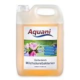 Aquani Milchsäurebakterien Teich 5.500ml probiotische Filterbakterien für alle Koi und Gartenteiche reduziert Nitrit und Algen + Gratis Messbecher