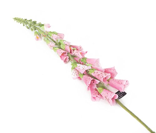 Closer 2 Nature F082RL Floral Elegance, Künstlicher Fingerhut, 84 cm, Einzelstamm, rosa