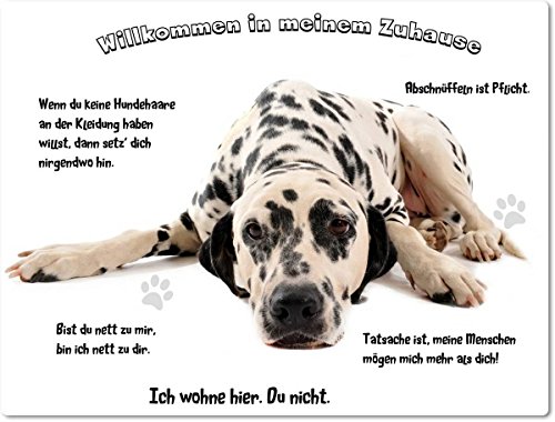 Merchandise for Fans Blechschild/Warnschild/Fun Türschild - Willkommen in Meinem Zuhause - Motiv: Dalmatiner liegend- 01 - (30x40cm)