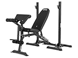 Zipro olympisches Hantelbank-Set Superset, Hantelbank mit Beinentwickler, Curlpult und Ablage, Kraftstation verstellbare Rückenlehne und Sitzkissen, Belastung 270kg, Multifunktion Trainingsbank