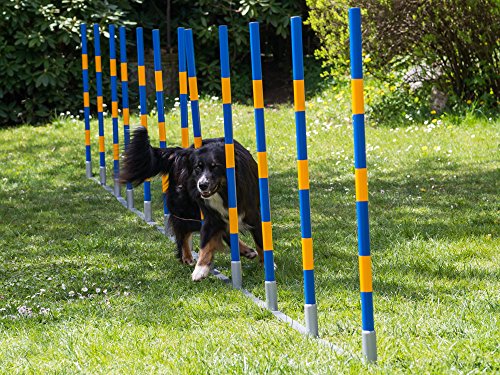 Hunde Profi Agility Slalom FCI konform