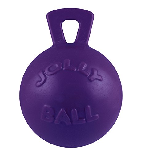Jolly Pets Tug-n-Toss Hundespielzeug Ball mit Griff, robust, 25,4 cm / XL, Violett