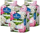 Floragard Endless Summer Hortensienerde rosa/weiß 3x20 L • zum Pflanzen und Umtopfen • für Beet- und Kübelbepflanzung • für weiße, rosa und pinke Hortensien • mit Tongranulat • 60 L