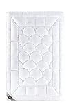 sei Design Winter Bettdecke 155x220 gesteppt SWAN Alternative zu Daunen, Steppdecke 100% Mikrofaser leichte Premium Decke mit hoher Wärmehaltung
