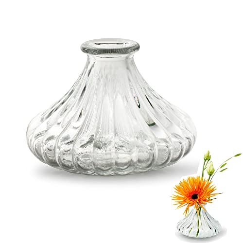 12 x Vasen in vielen Farben und Formen Dekovase - Glasvase - Väschen - Tischvasen - Blumenvasen (Chantal H 7 cm - Ø 10 cm)