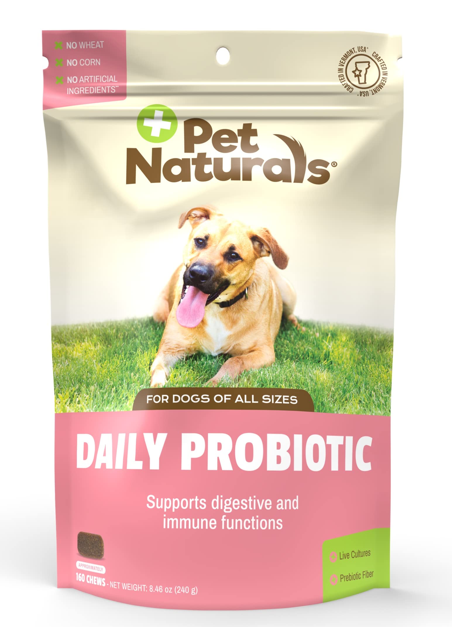 Pet Naturals Tägliches Probiotikum für Hunde, Verdauungsunterstützung, Entengeschmack, 160 Stück