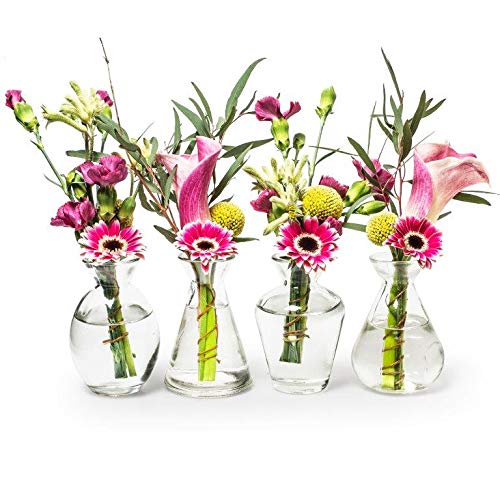12 x Vasen in vielen Farben und Formen Dekovase - Glasvase - Väschen Größe Liberte H 10 cm