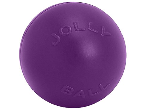 Jolly Pets Push-n-Play Ball Hundespielzeug, 25,4 cm / groß, Violett
